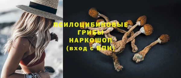винт Алзамай