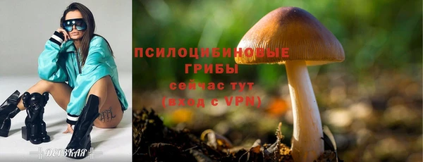 spice Алексин