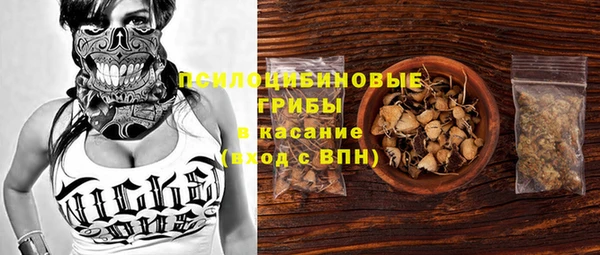 винт Алзамай