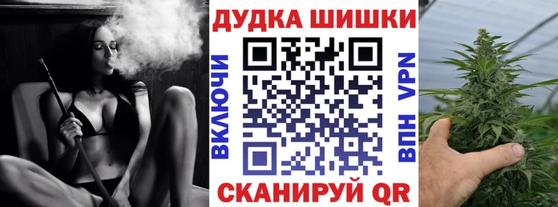 Шишки марихуана марихуана  Гдов 